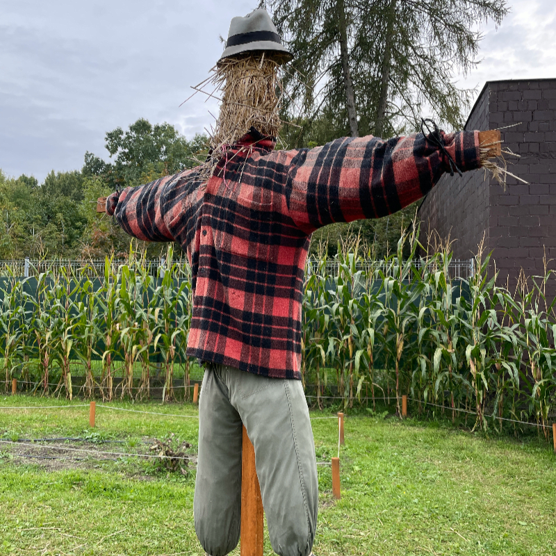 DIY Scarecrow Kits Pick Up at Delavan's Scarecrow Fest- Sept 19
