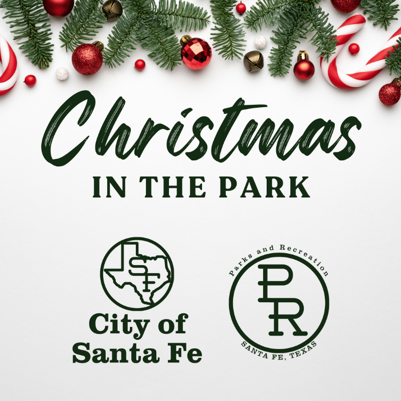 Christmas In The Park
