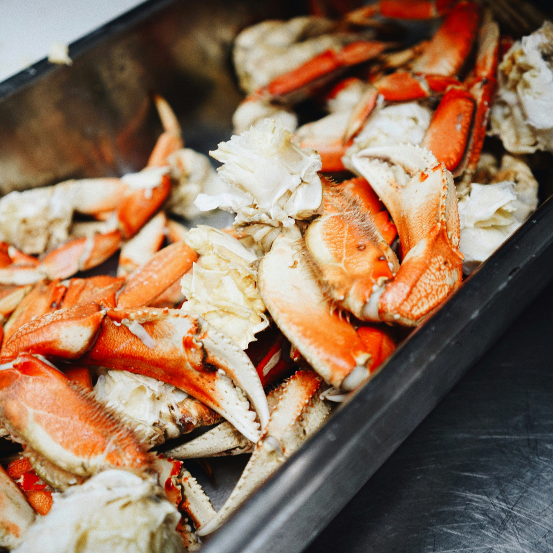 Maryland Crab Fest