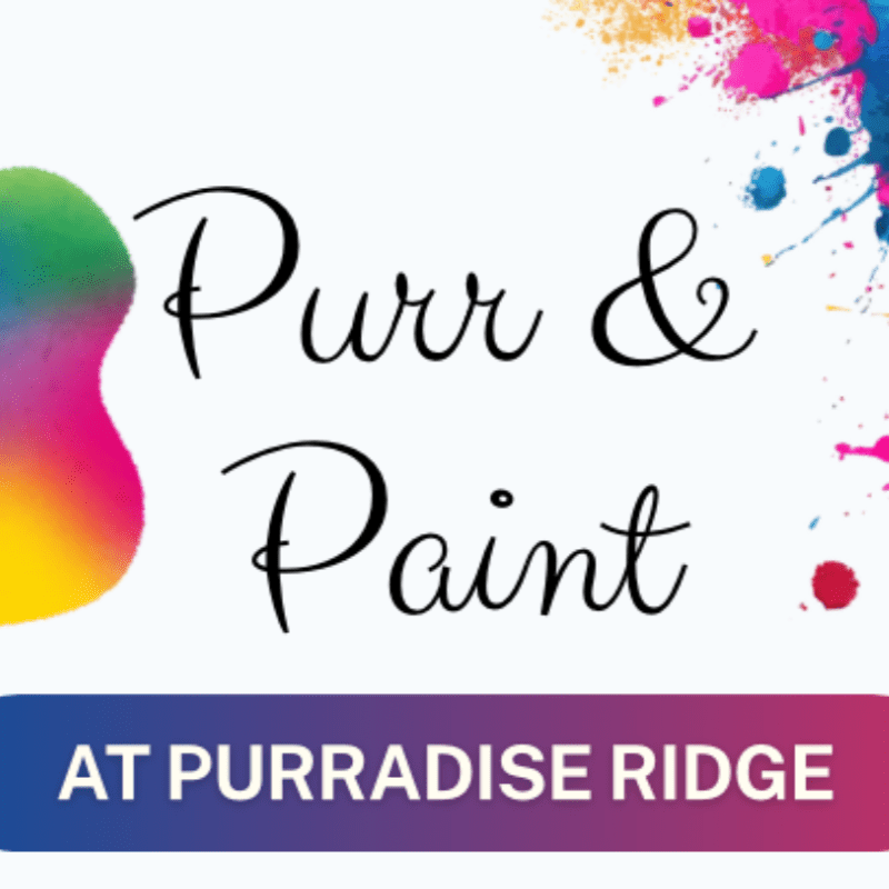 Purr & Paint