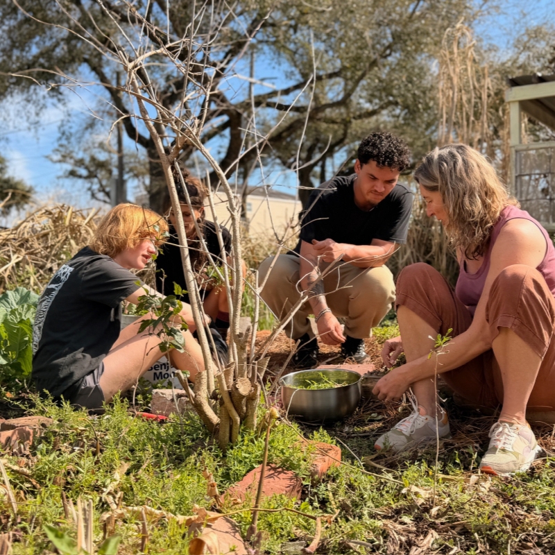 Solitary Gardens Community Hours