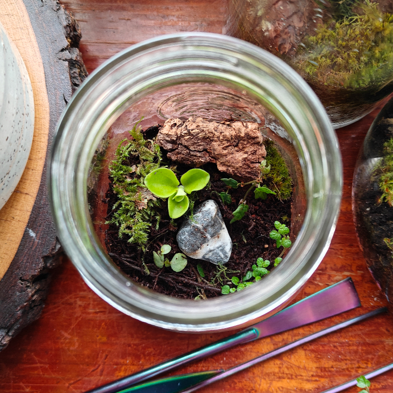 Jar Terrarium Make-and-Take Workshop