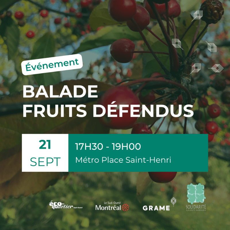 Balade Fruits Défendus dans Saint-Henri