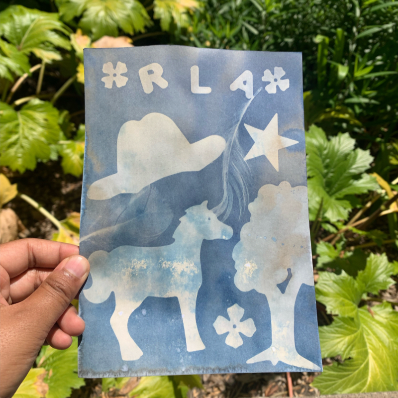 Cyanotype Workshop Extra Prints