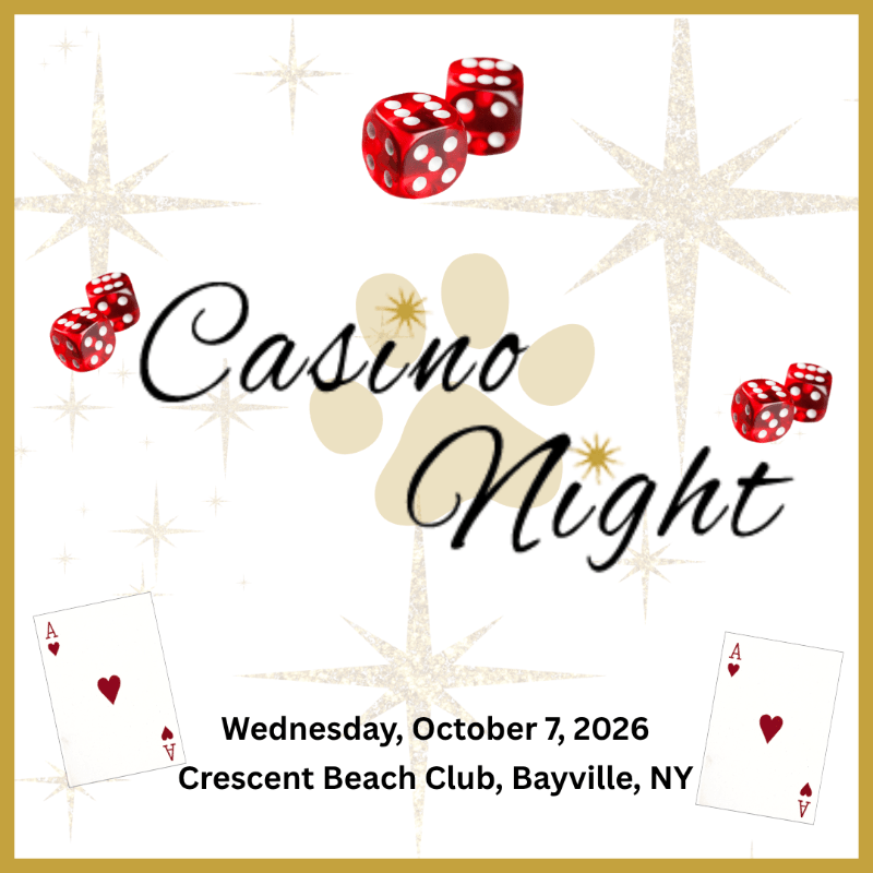 Casino Night 2026