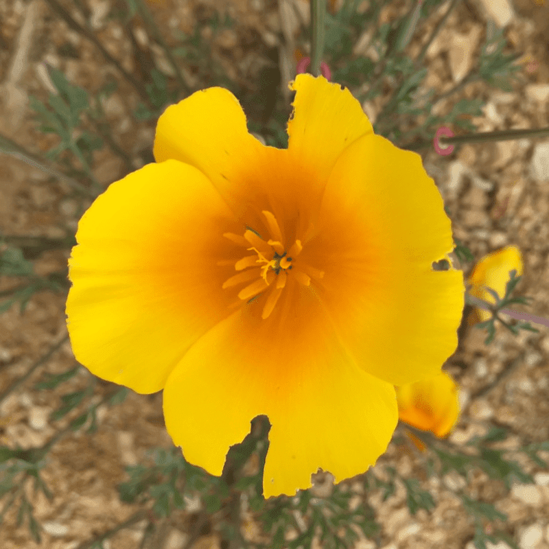 Rest and Reconnection (Oct)