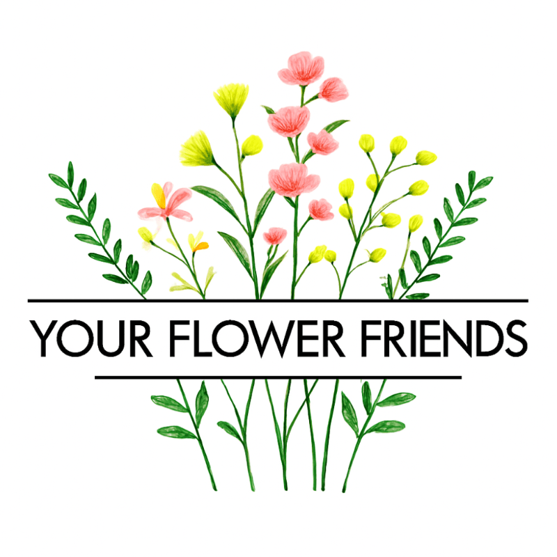 Giving YFF a Home