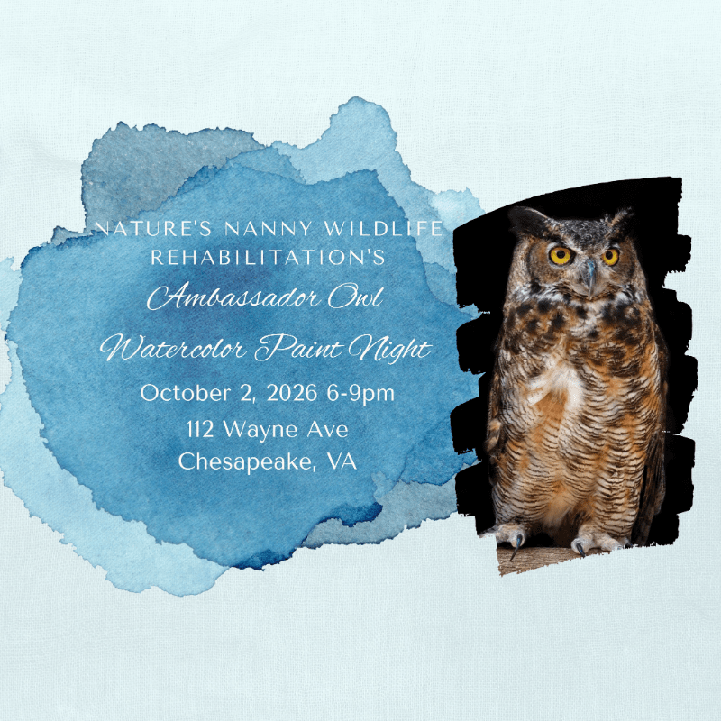 Watercolor Paint Night with Ambassador Owls on 10/2!!