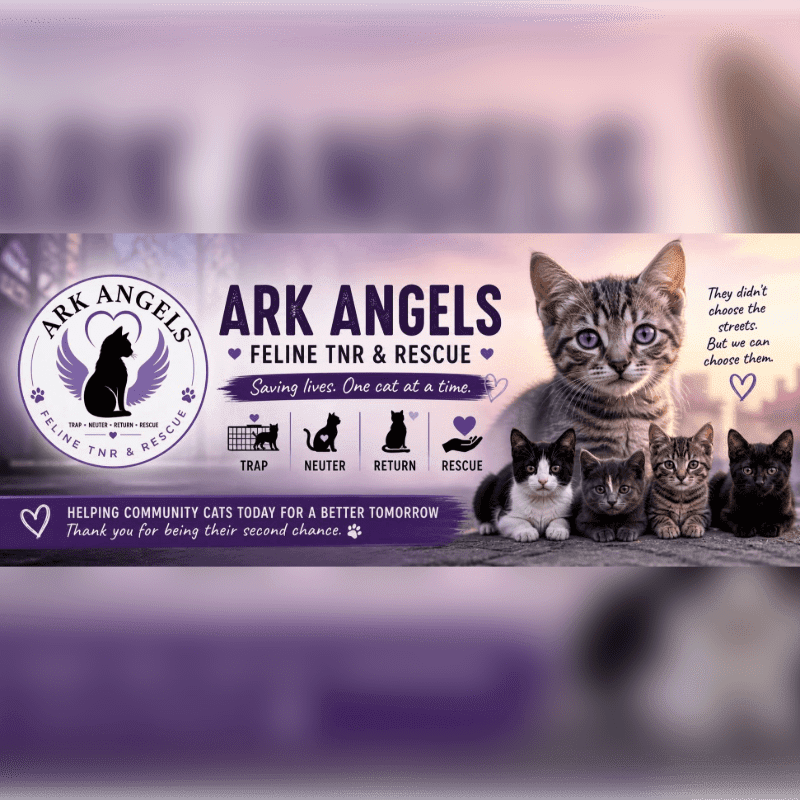 Ark Angels Emergency Response Fund