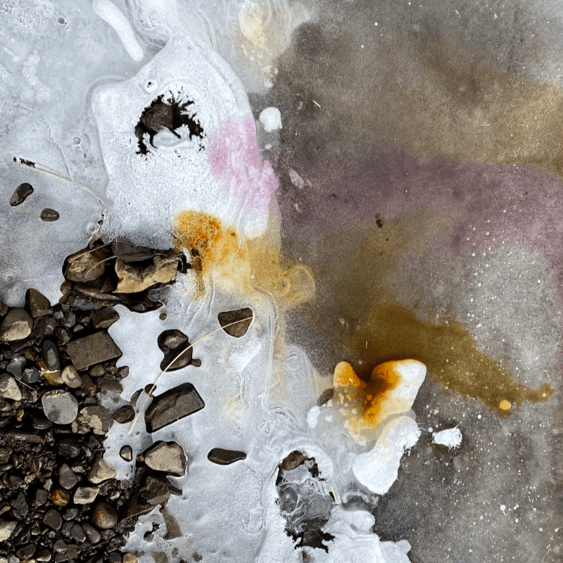 Free Public Lecture - Betty Carpick & Julie Cosgrove – A Record of Time: Chronicling McVicar Creek Through Art