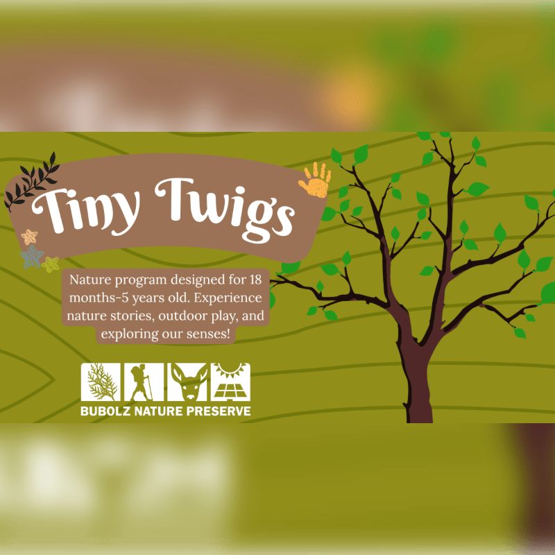 Tiny Twigs