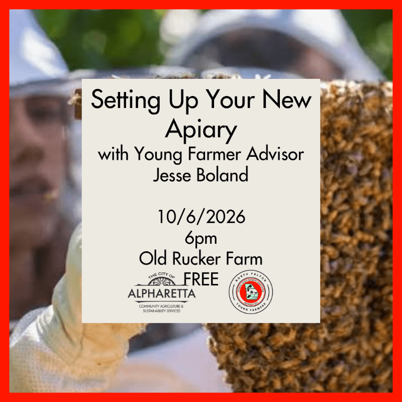 Apiary Setup