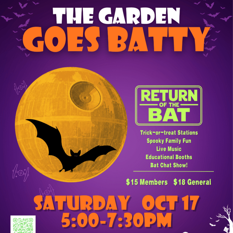 The Garden Goes Batty: Return of the Bat