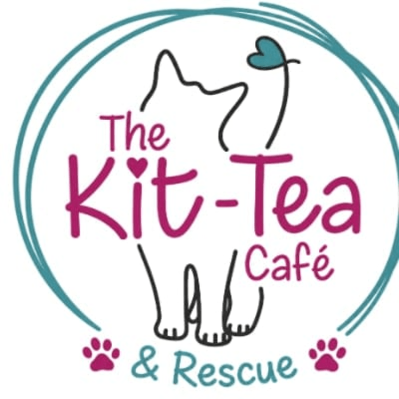 The Big Kit-Tea Ceilidh
