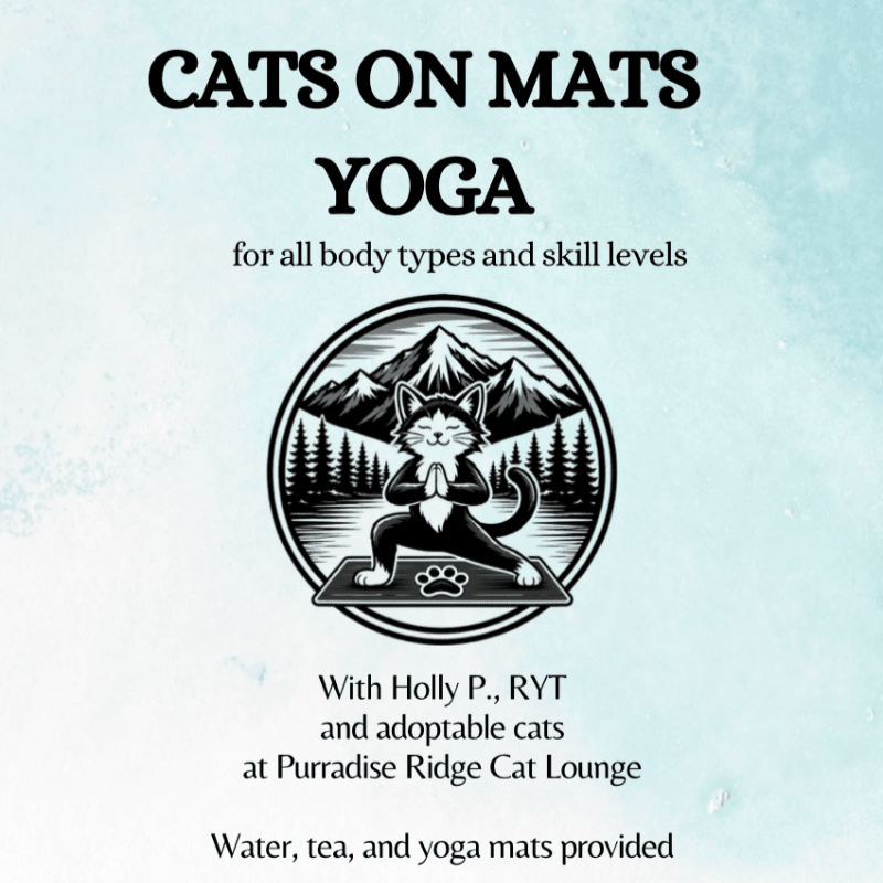 Cats on Mats Yoga