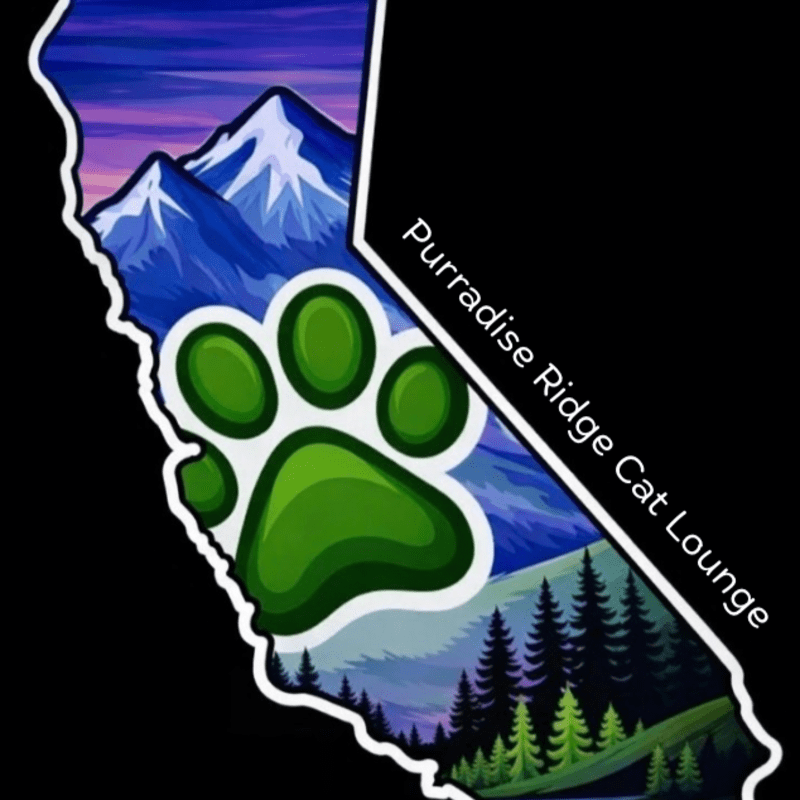 Purradise Ridge Cat Lounge's Gift Shop