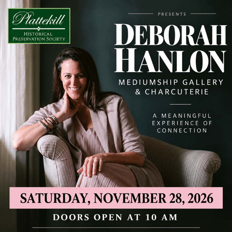 November 28 ~ Deborah Hanlon Medium Gallery