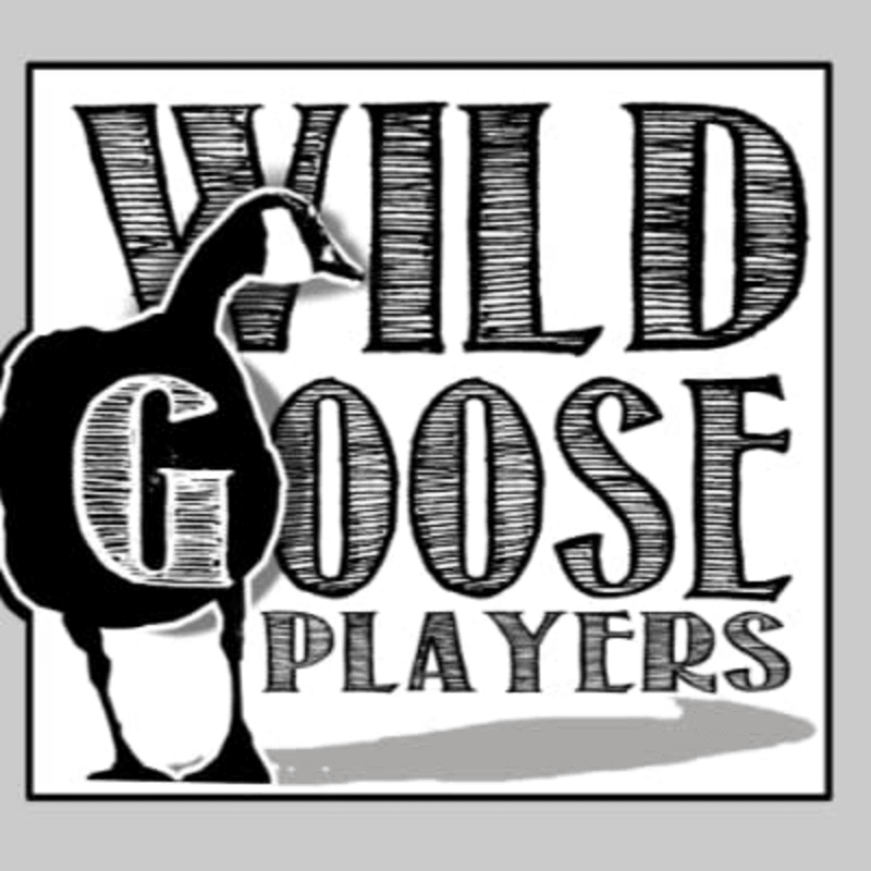 Donate to Wild Goose Players