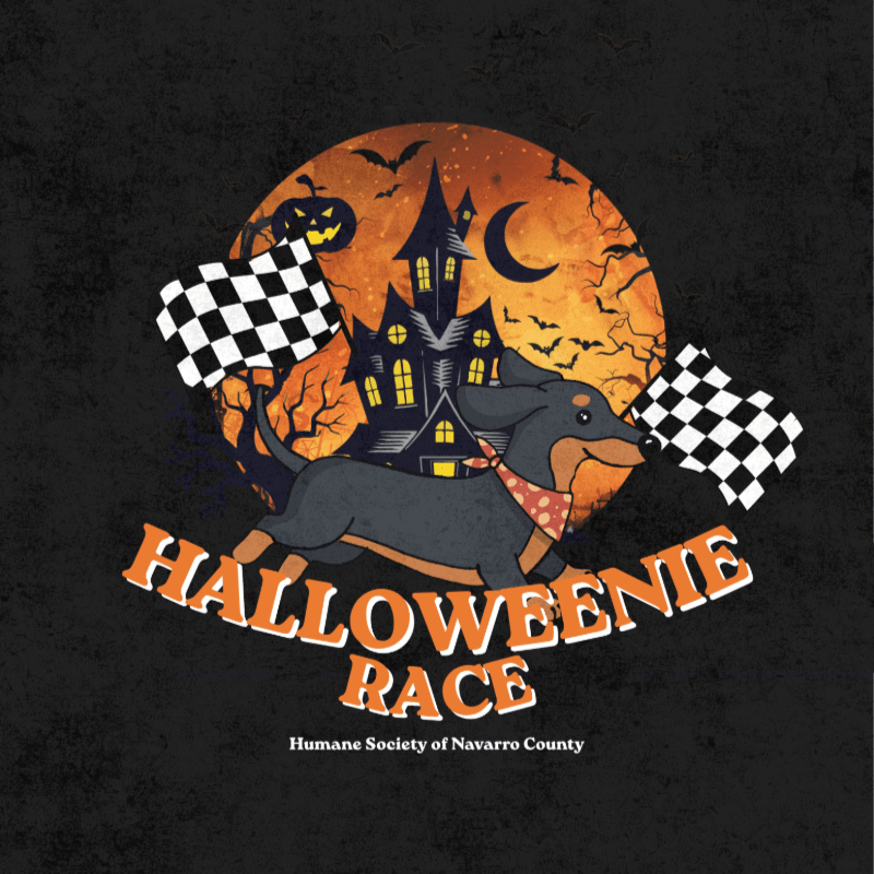 Halloweenie Race 2026