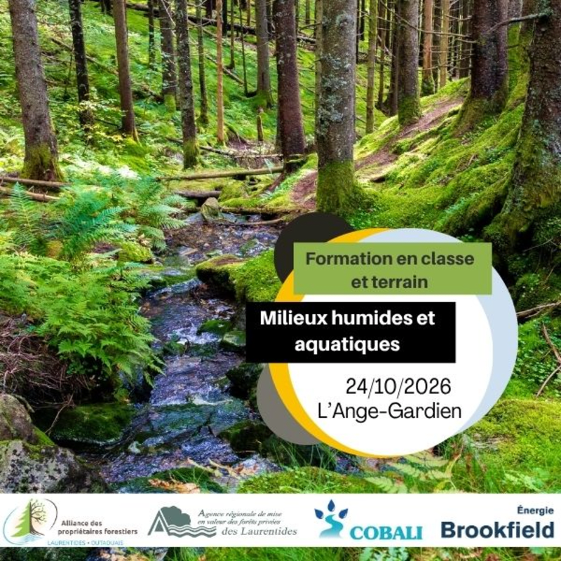 Formation - Les milieux humides et aquatiques en forêt privée - Outaouais