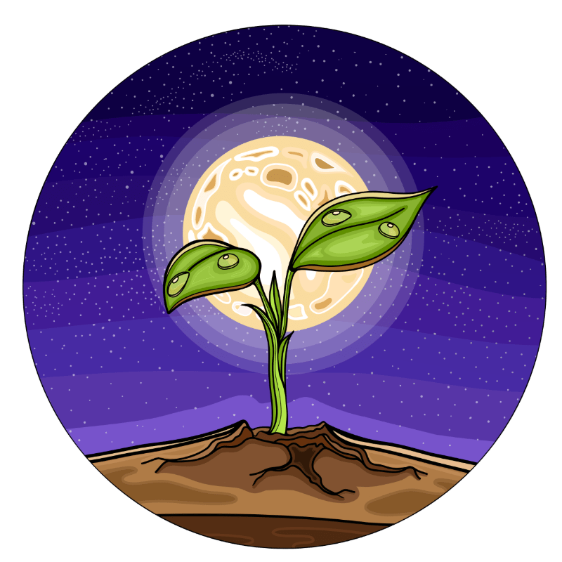 October Moon Gala 50/50 Raffle