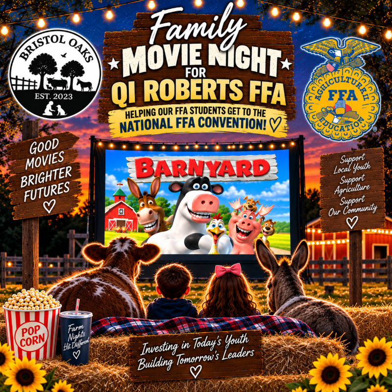 Family Movie Night Fundraiser