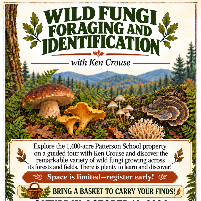 Wild Fungi Foraging & Identification with Ken Crouse
