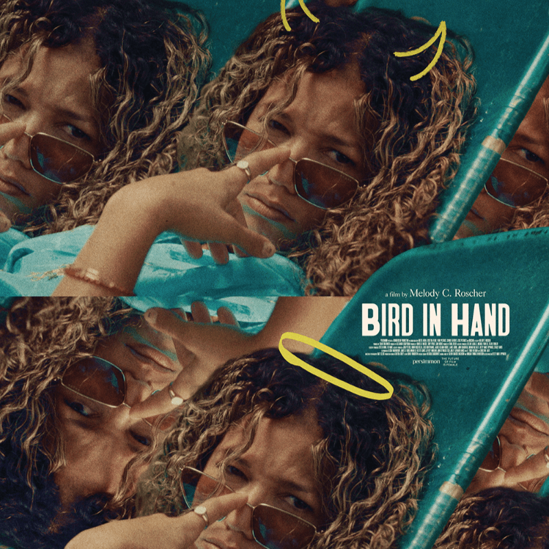 BIRD IN HAND (2026) at Studio Two-Three
