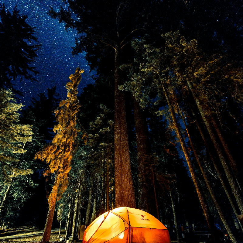 Hi-Sierra Camping 2026