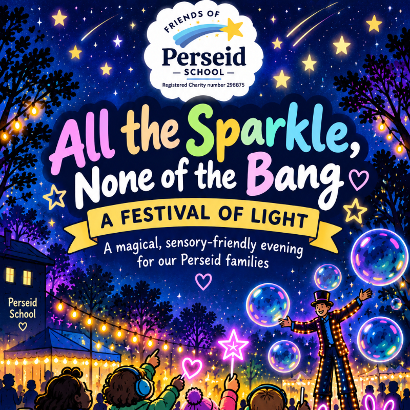 All the SPARKLE none of the BANG! - A Festival of Light
