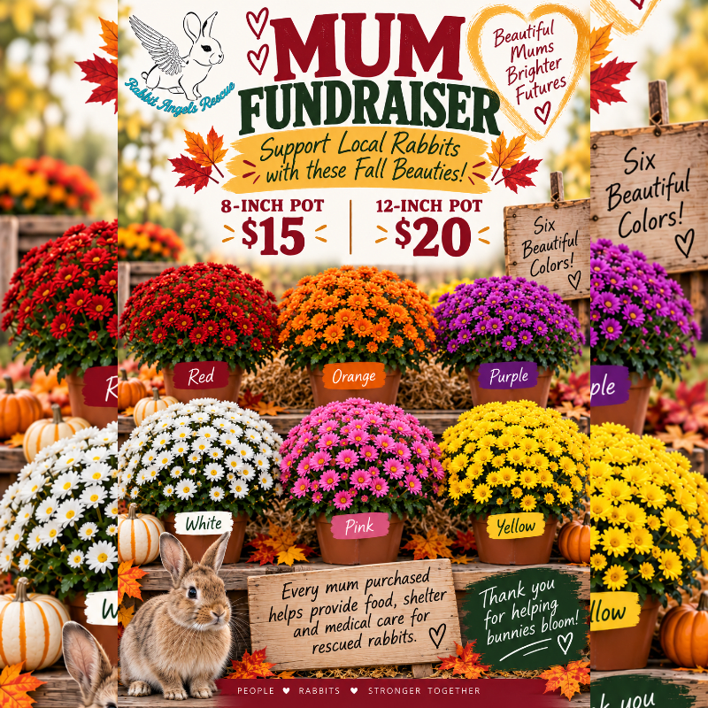 RARR Mum Fundraiser