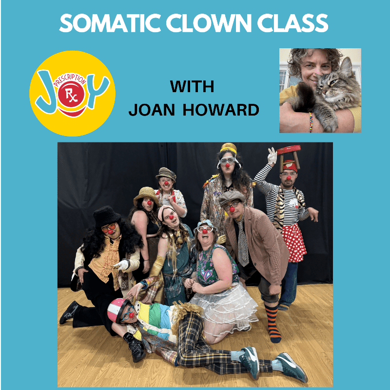 Somatic Clown Level 1 November 2026