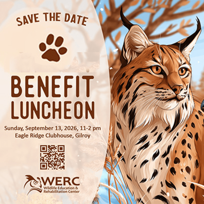 Luncheon Benefit 9 13 26