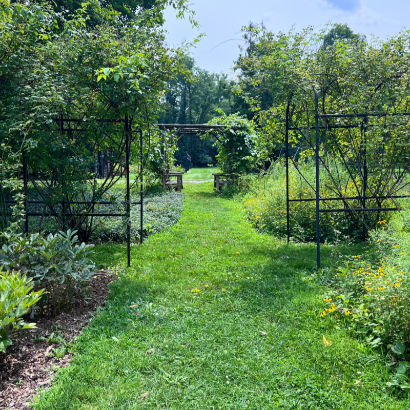 Locust Grove Historic Site's Membership