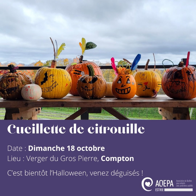 Bénévolat - Cueillette de citrouilles