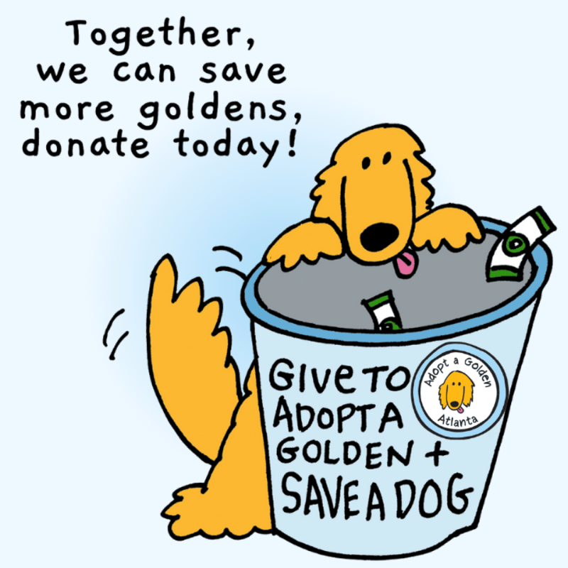 General Donation