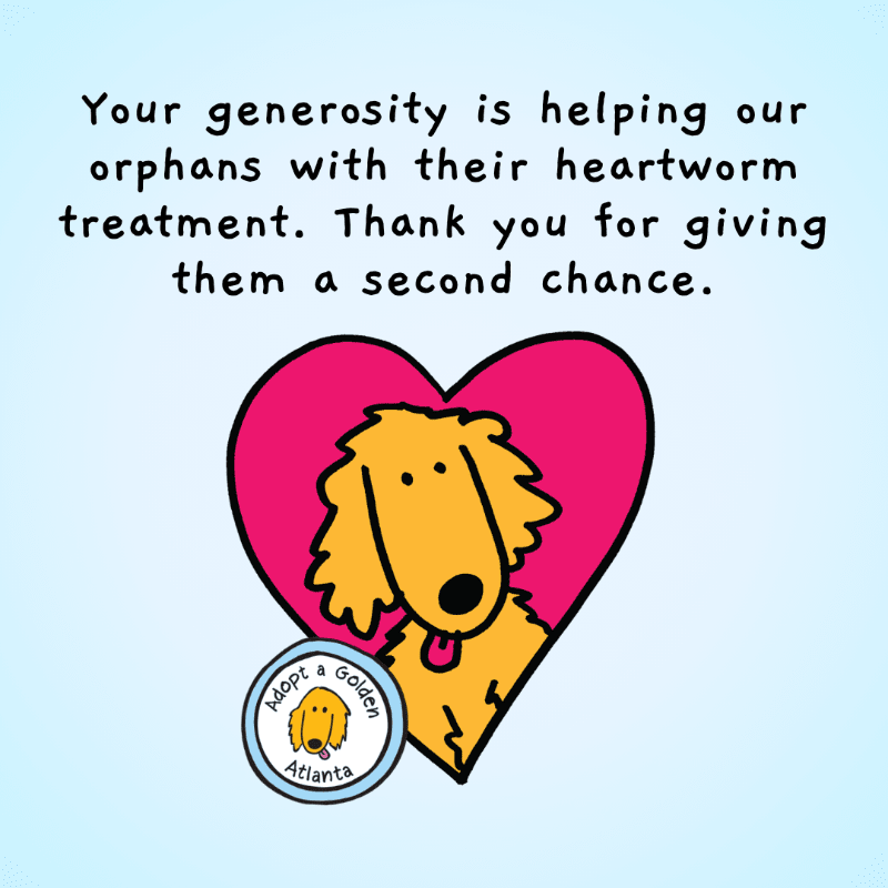 HW+ Treatment General Donation