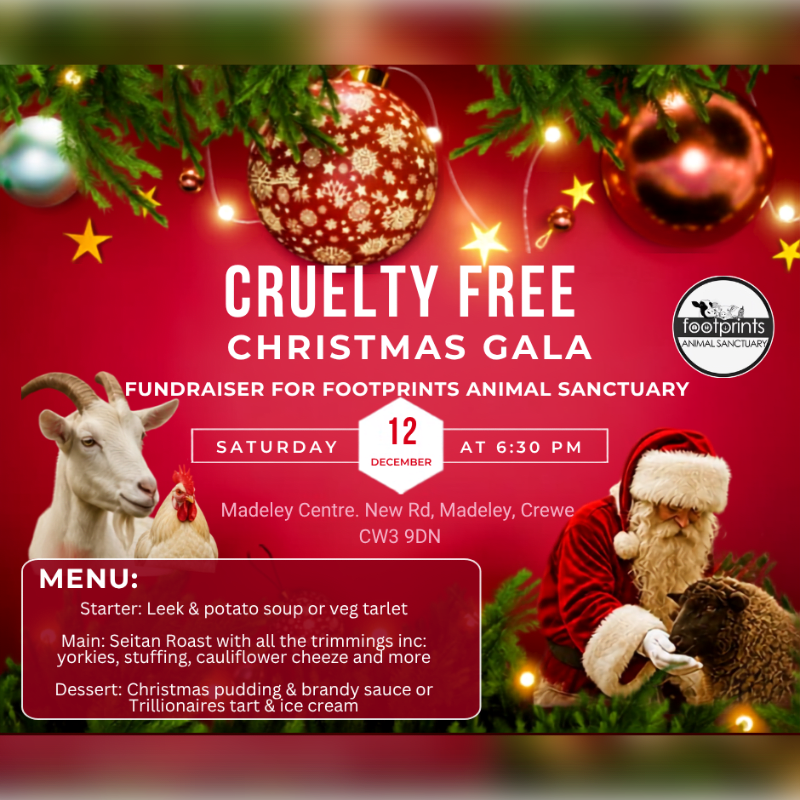 Cruelty Free Christmas Gala