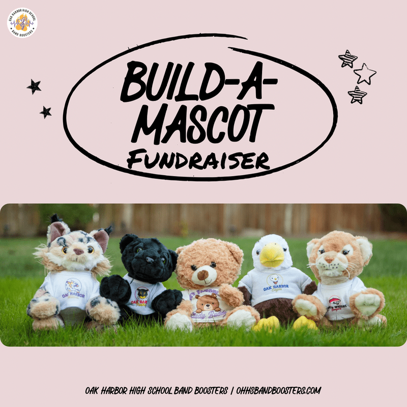 Build-A-Mascot Fundraiser