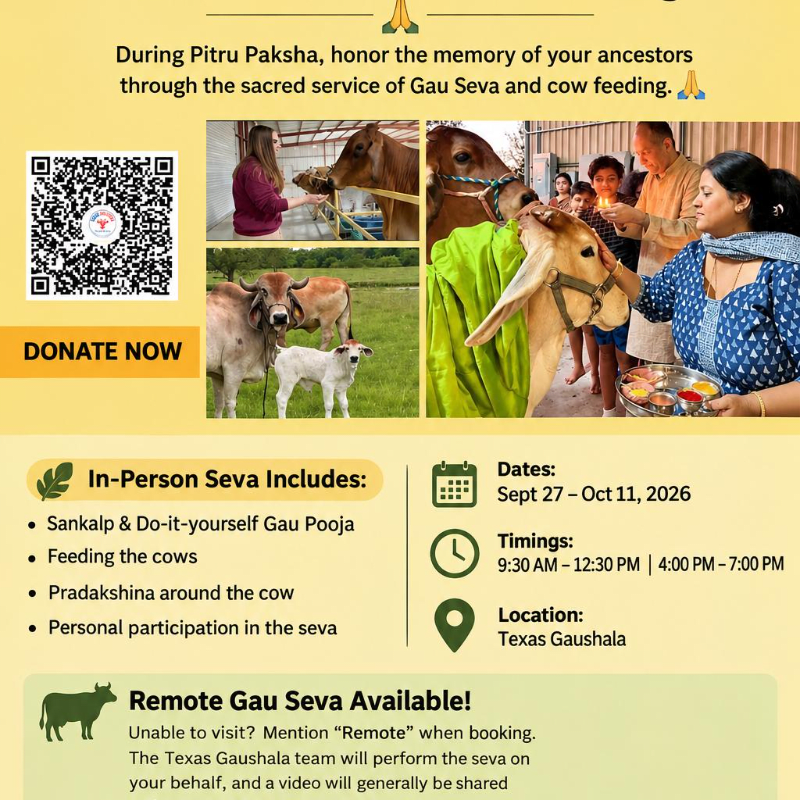 Pitru Paksha cow feeding and Sankalp
