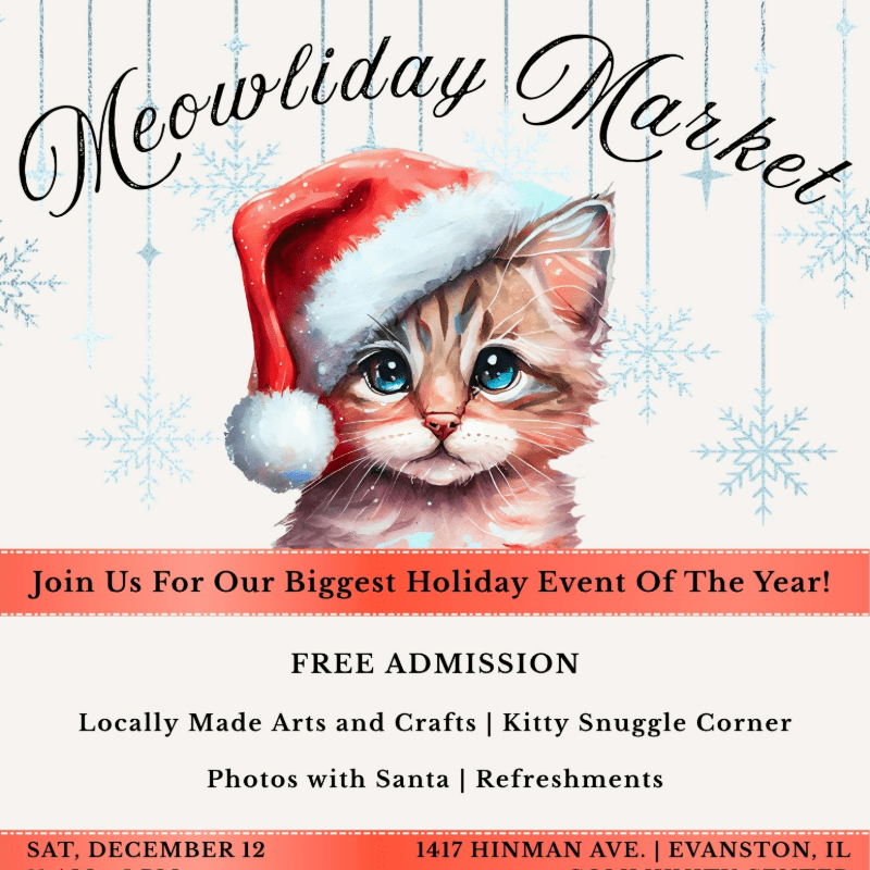 Meowliday Market 2026 Vendor Booth Fee