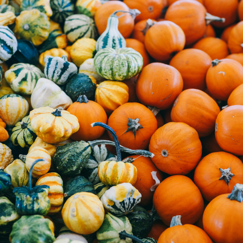 Donate to Grace's Kitchen FREE Thanksgiving Take-Out Meal