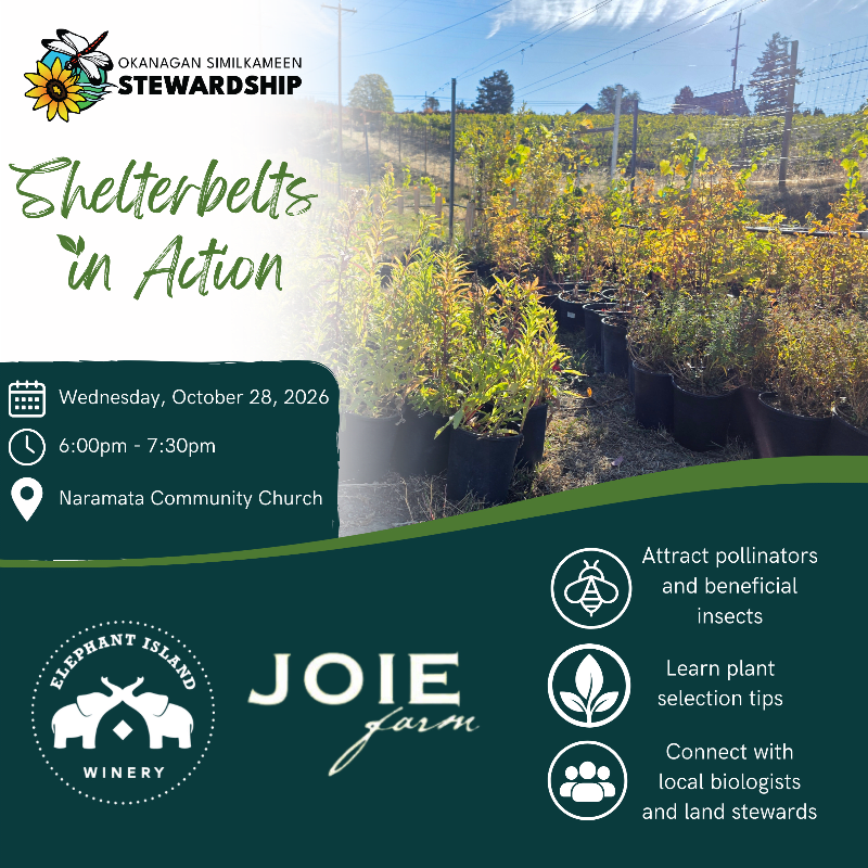 Shelterbelts in Action