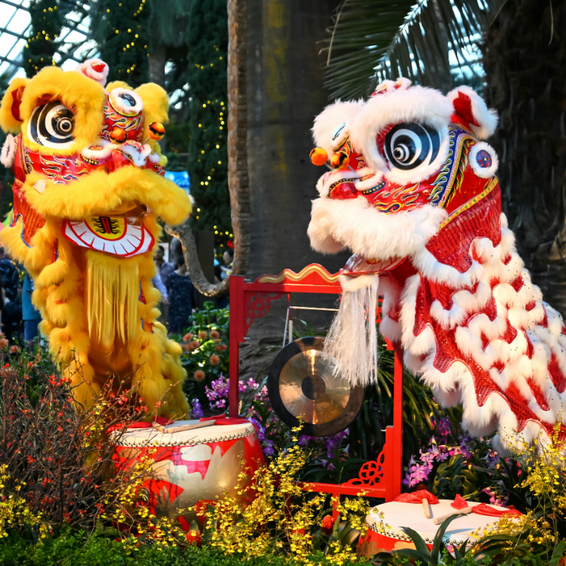 CAAW Lunar New Year Fundraiser