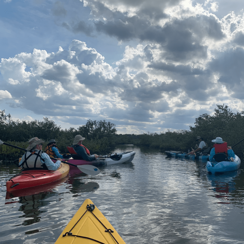 Wading Birds & Autumn Wings October 24 Guided Kayak Tour