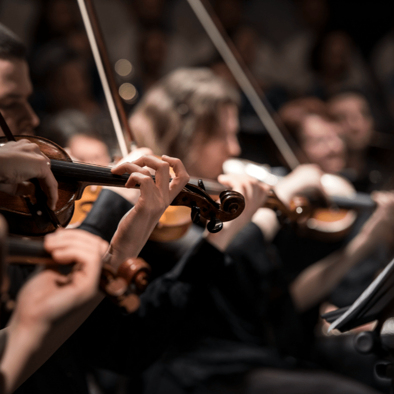 YYSO Fall 2026 Concert