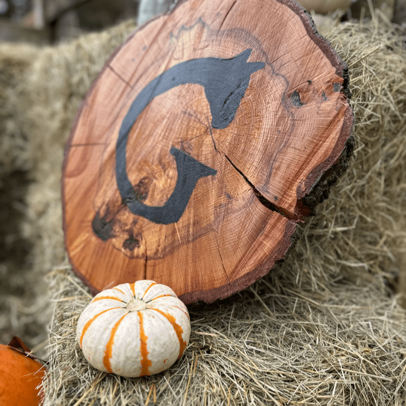 Trot or Treat