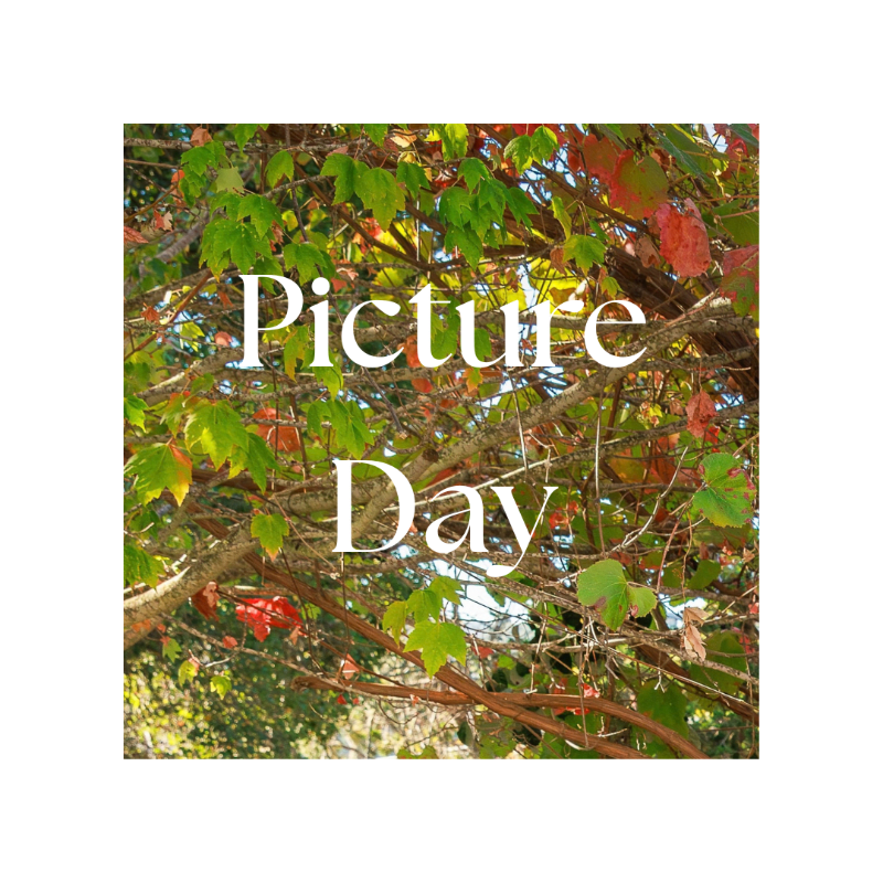 CPNS Picture Day 2026
