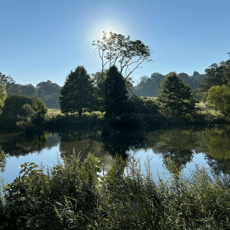 Morris Arboretum Trip