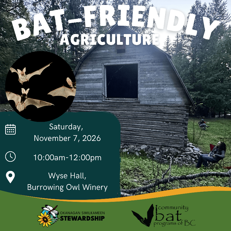 Bat-friendly Agriculture